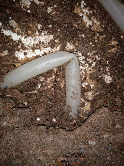 蒲江堵点精准查找